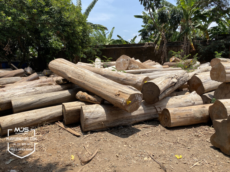 Kayu jati hara tua TPK Perhutani