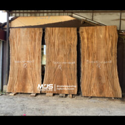 Papan kayu trembesi besar